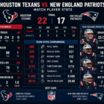 Houston Texans vs New England Patriots Match Player Stats
