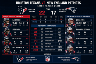 Houston Texans vs New England Patriots Match Player Stats